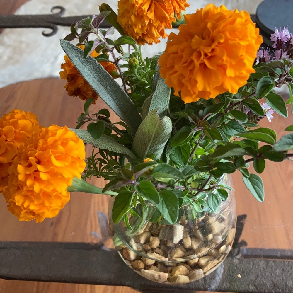 Meet your Posher, Susan